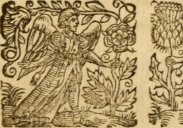 An illustration from Two discourses concerning the adoration of our B. Saviour in the H. Eucharist .., 1687, leaf 200