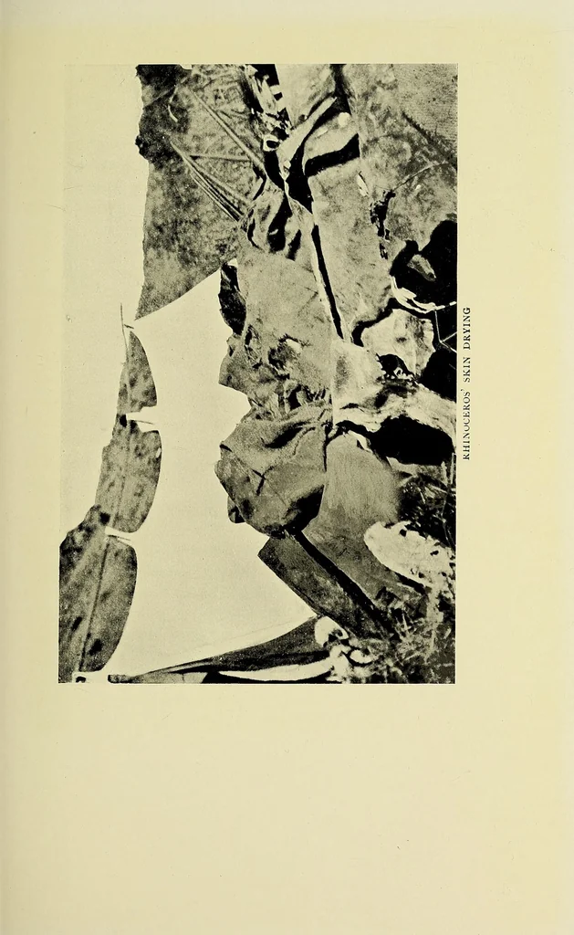 An illustration from Two Dianas in Somaliland : the record of a shooting trip, 1908, leaf 235