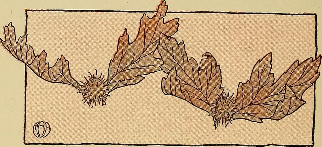 An illustration from Two little southern sisters and their garden plays, 1919, leaf 103