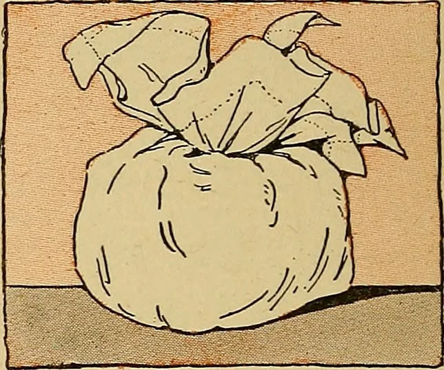 An illustration from Two little southern sisters and their garden plays, 1919, leaf 137