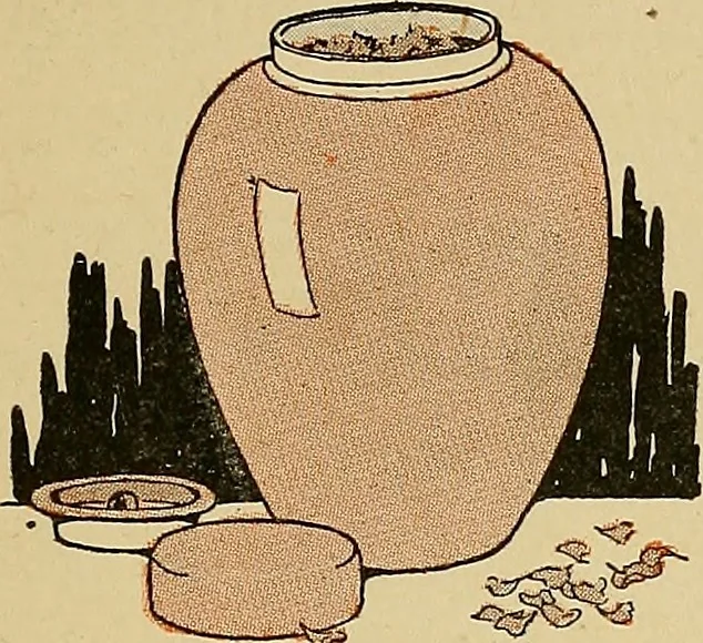 An illustration from Two little southern sisters and their garden plays, 1919, leaf 148