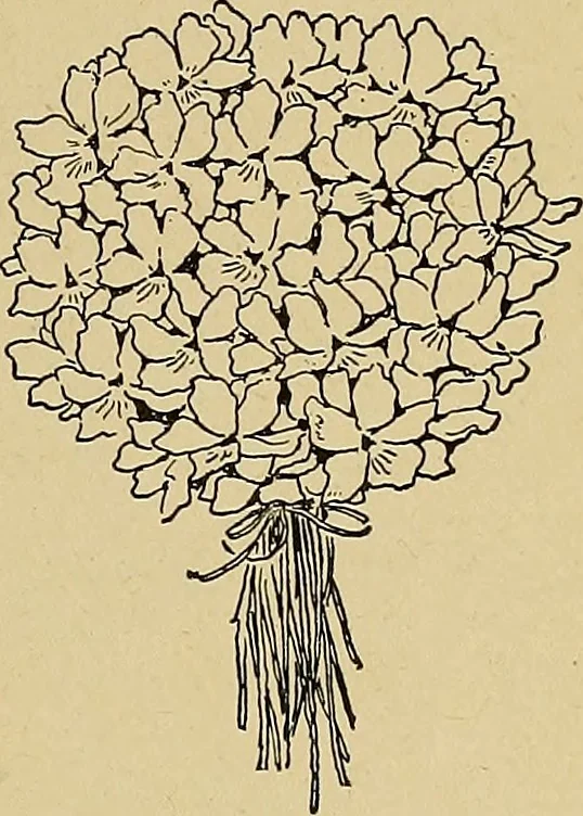An illustration from Two little southern sisters and their garden plays, 1919, leaf 152