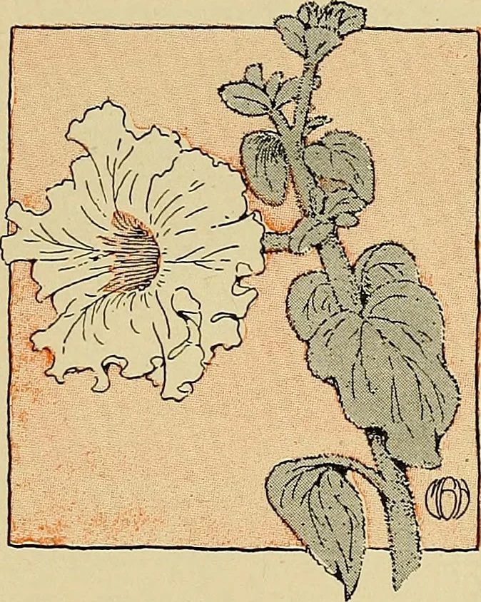 An illustration from Two little southern sisters and their garden plays, 1919, leaf 28