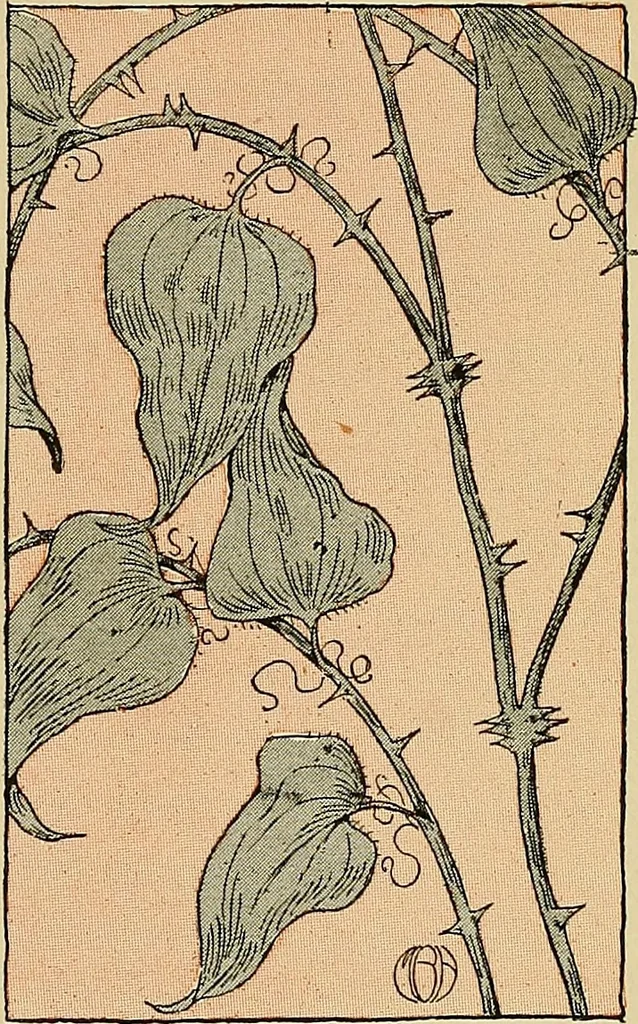 An illustration from Two little southern sisters and their garden plays, 1919, leaf 74