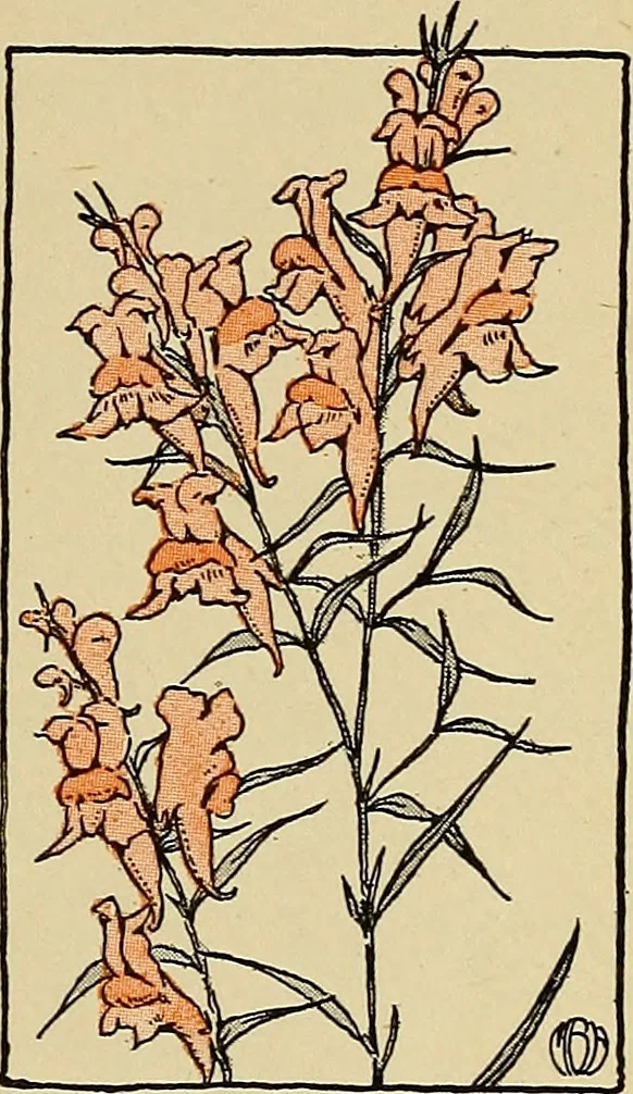An illustration from Two little southern sisters and their garden plays, 1919, leaf 90