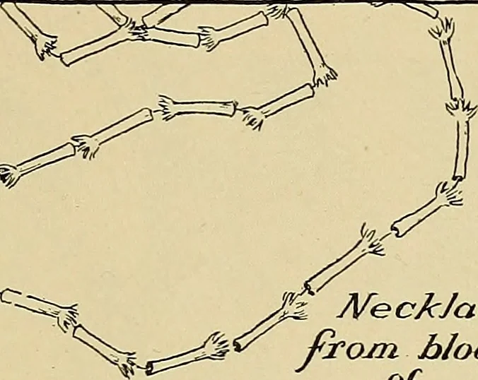 An illustration from Two little southern sisters and their garden plays, 1919, leaf 98