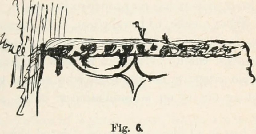 An illustration from The two paths; being lectures on art, and its application to decoration and manufacture, delivered in 1858-9, 1891, leaf 222