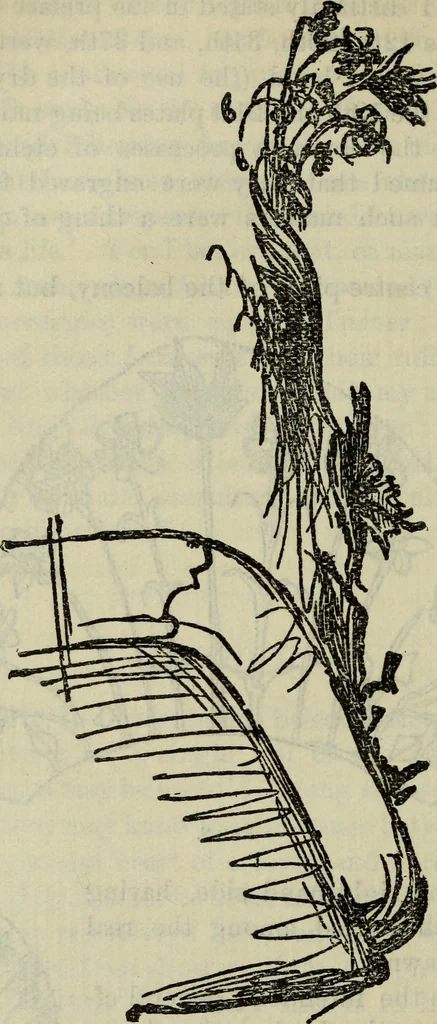 An illustration from The two paths ; Love's meinie ; also, Val d'arno ; The pleasures of England ; Mornings in Florence ; Time and tide ; The art of England ; Notes on the construction of sheepfolds, 1800, leaf 161
