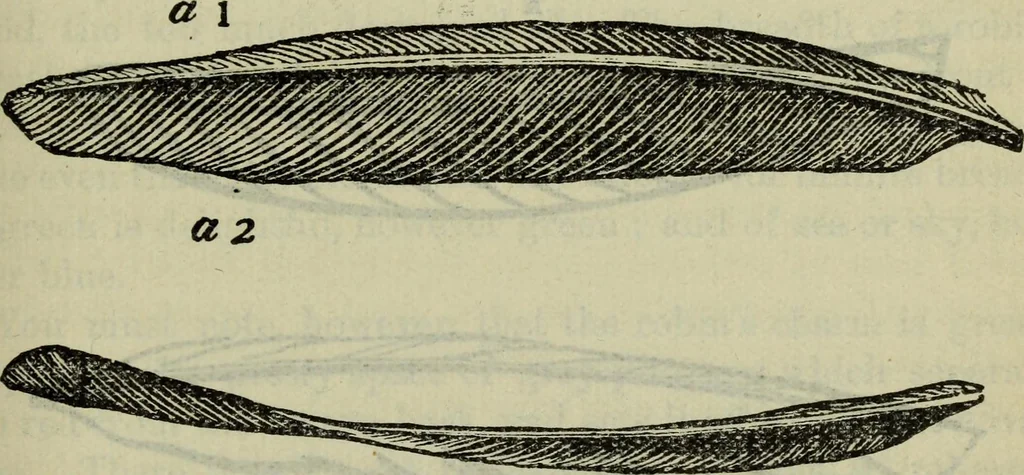 An illustration from The two paths ; Love's meinie ; also, Val d'arno ; The pleasures of England ; Mornings in Florence ; Time and tide ; The art of England ; Notes on the construction of sheepfolds, 1800, leaf 186