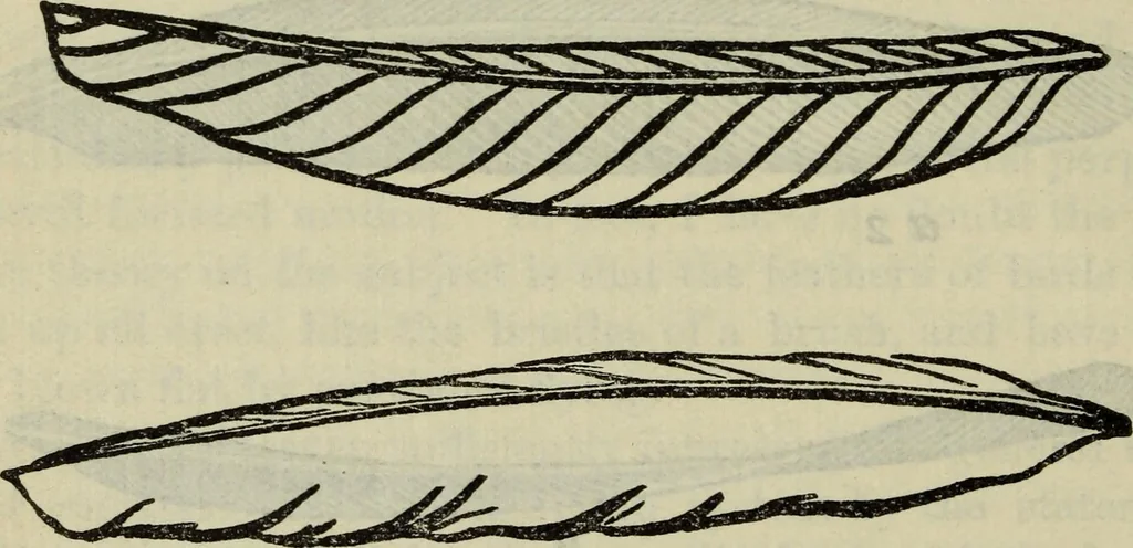 An illustration from The two paths ; Love's meinie ; also, Val d'arno ; The pleasures of England ; Mornings in Florence ; Time and tide ; The art of England ; Notes on the construction of sheepfolds, 1800, leaf 187