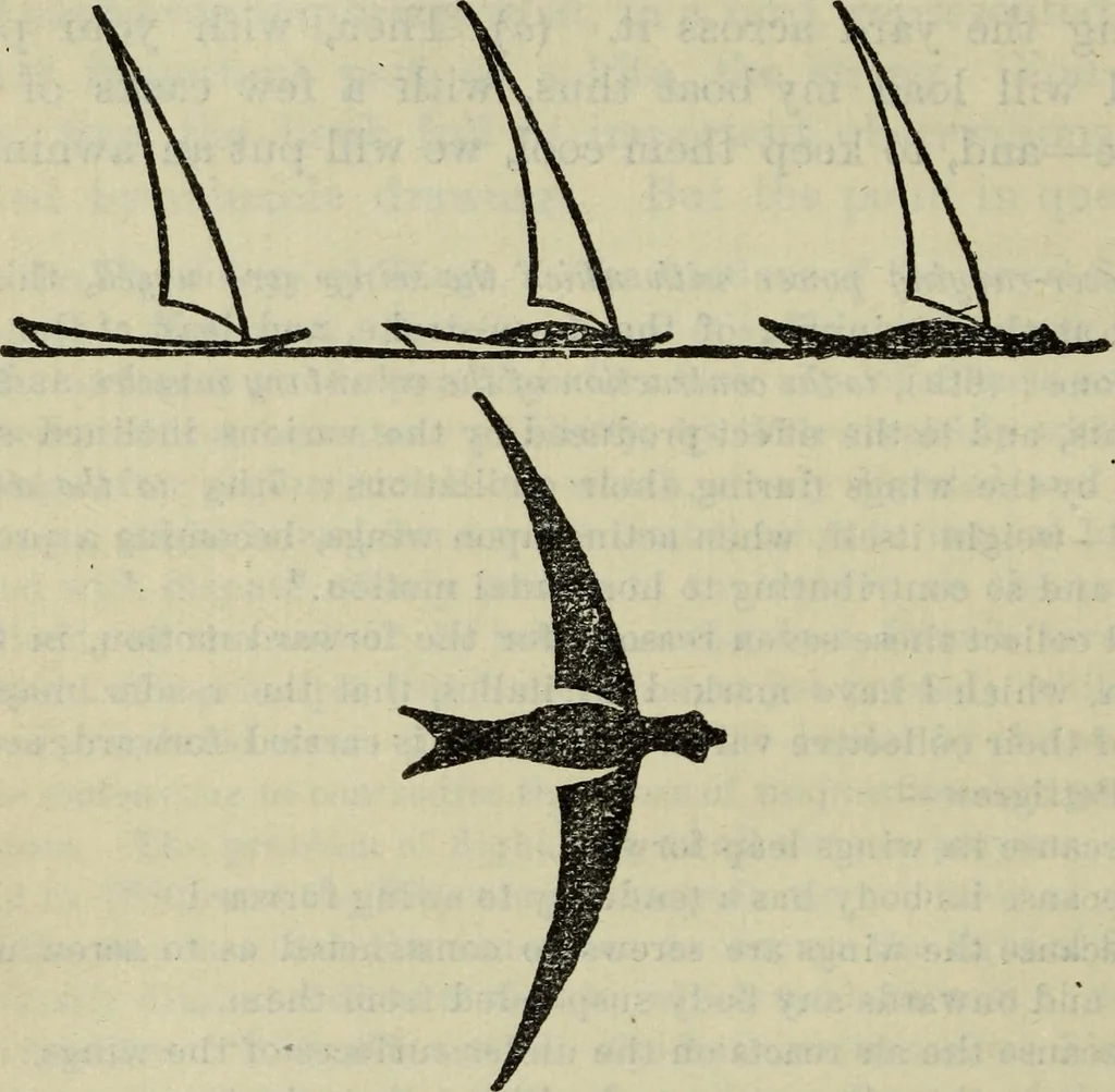 An illustration from The two paths ; Love's meinie ; also, Val d'arno ; The pleasures of England ; Mornings in Florence ; Time and tide ; The art of England ; Notes on the construction of sheepfolds, 1800, leaf 207
