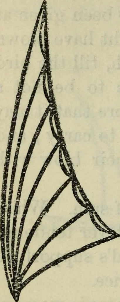 An illustration from The two paths ; Love's meinie ; also, Val d'arno ; The pleasures of England ; Mornings in Florence ; Time and tide ; The art of England ; Notes on the construction of sheepfolds, 1800, leaf 209