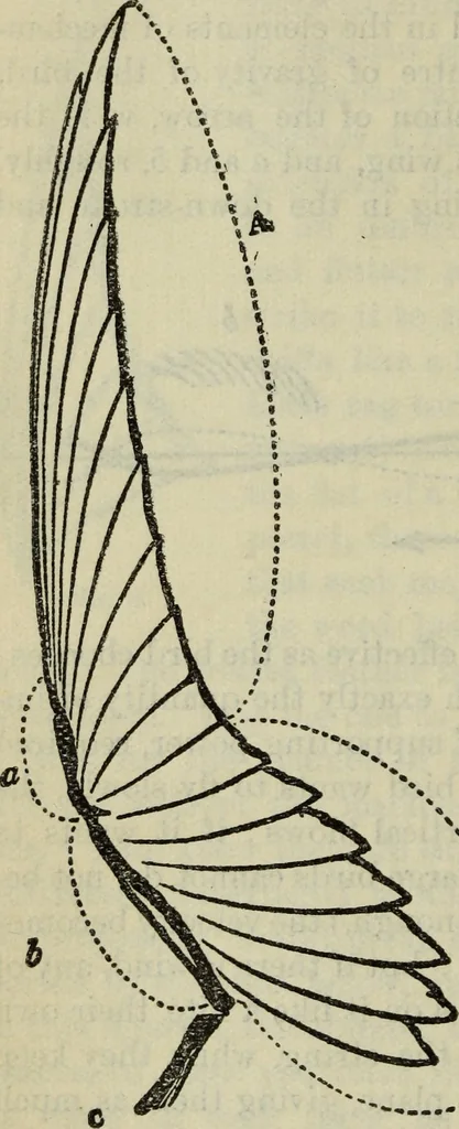 An illustration from The two paths ; Love's meinie ; also, Val d'arno ; The pleasures of England ; Mornings in Florence ; Time and tide ; The art of England ; Notes on the construction of sheepfolds, 1800, leaf 211