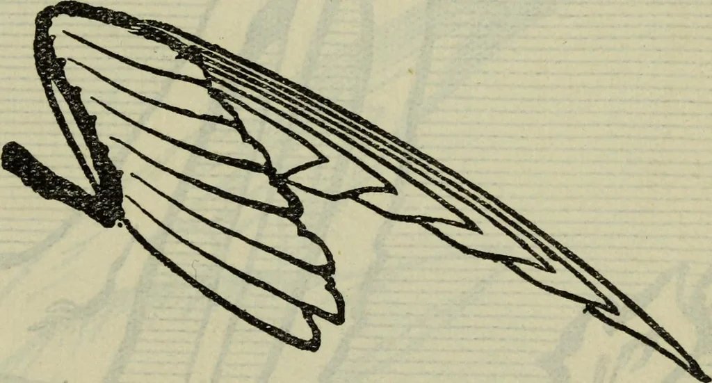 An illustration from The two paths ; Love's meinie ; also, Val d'arno ; The pleasures of England ; Mornings in Florence ; Time and tide ; The art of England ; Notes on the construction of sheepfolds, 1800, leaf 212