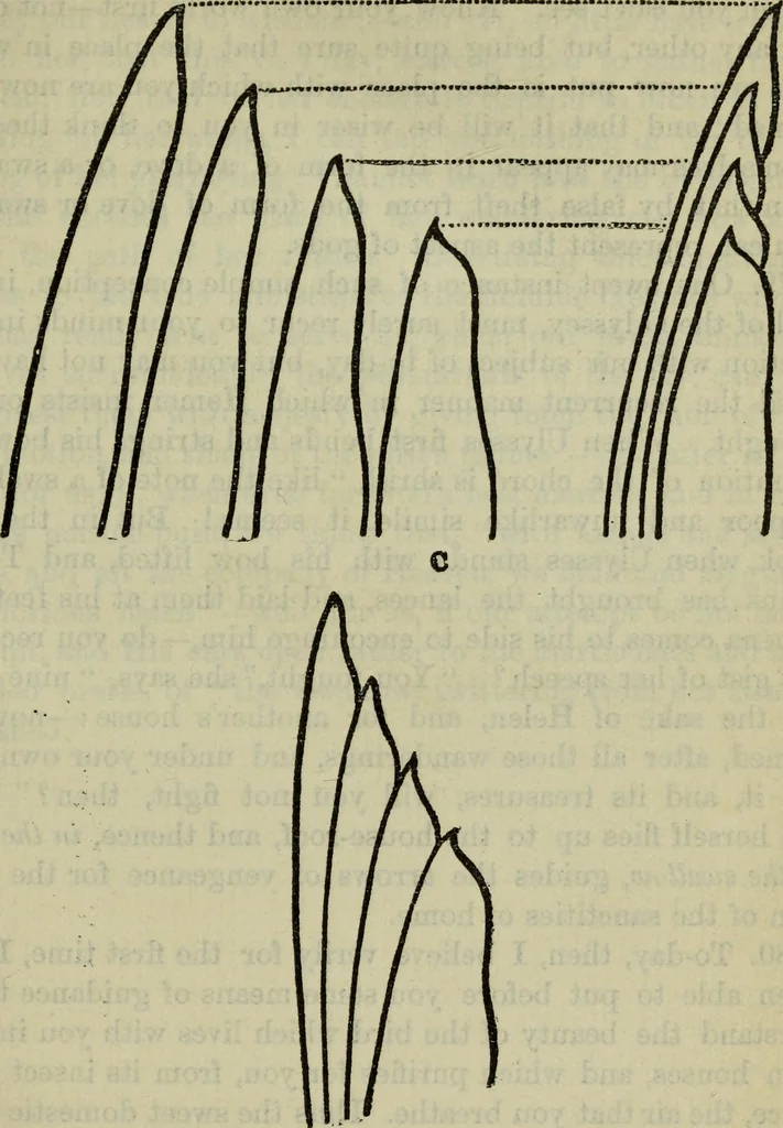 An illustration from The two paths ; Love's meinie ; also, Val d'arno ; The pleasures of England ; Mornings in Florence ; Time and tide ; The art of England ; Notes on the construction of sheepfolds, 1800, leaf 216