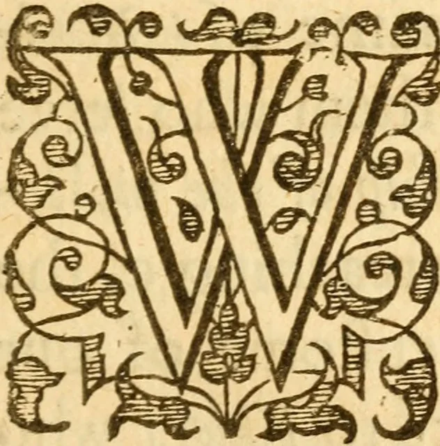 An illustration from Two petitions to the honorable court of parliament in behalfe of episcopacy : one delivered by Sir T. Aston ... the other from the cities of L. and W, 1641, leaf 22