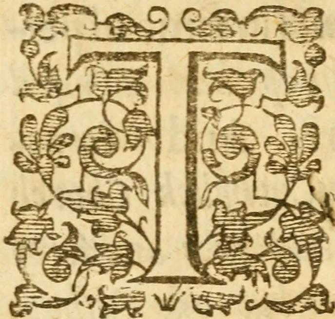 An illustration from Two petitions to the honorable court of parliament in behalfe of episcopacy : one delivered by Sir T. Aston ... the other from the cities of L. and W, 1641, leaf 25
