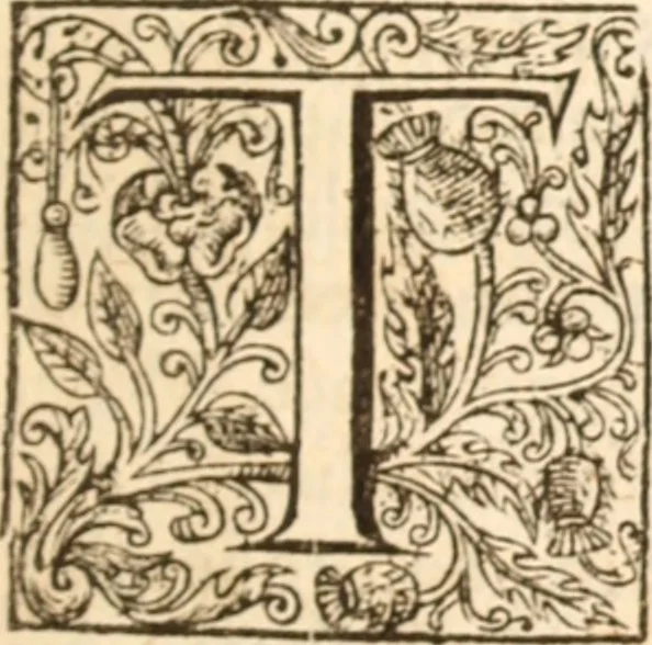 An illustration from Two profitable treatises : I. Of David's love to the word ; II.Of David's meditations on the Word of God .., 1616, leaf 30