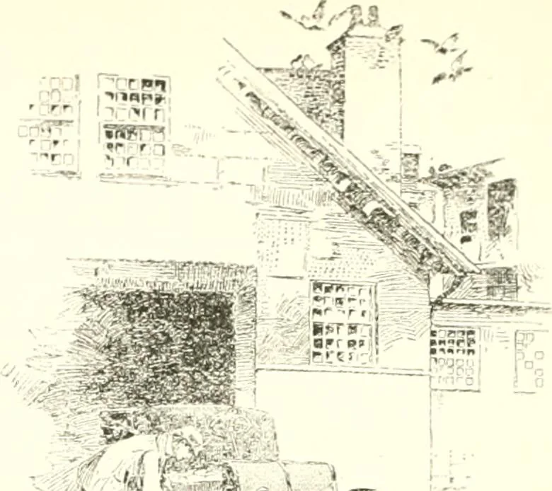 An illustration from Two thousand miles on an automobile; being a desultory narrative of a trip through New England, New York, Canada, and the West, 1902, leaf 29