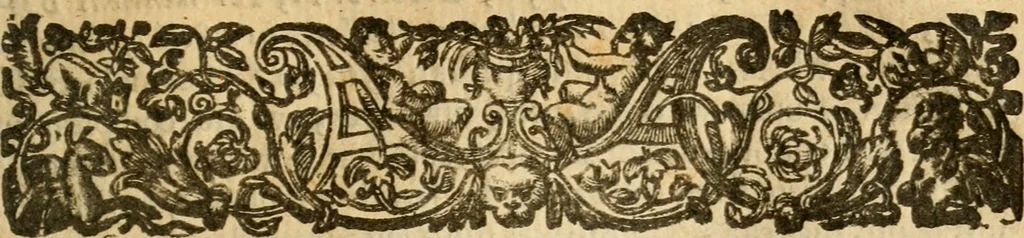 An illustration from Two treatises and an appendix to them concerning infant-baptisme : the former treatise being an exercitation presented to the chairman of a committee of the Assembly of Divines : the later on examen of the sermon of Mr. Stephen Marshall about infant baptisme, in a letter sent to him, 1646, leaf 228