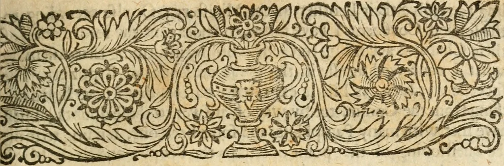 An illustration from Two treatises and an appendix to them concerning infant-baptisme : the former treatise being an exercitation presented to the chairman of a committee of the Assembly of Divines : the later on examen of the sermon of Mr. Stephen Marshall about infant baptisme, in a letter sent to him, 1646, leaf 48