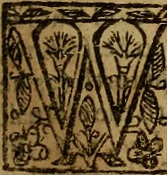An illustration from Two treatises : first the practicall catechisme, wherein those principall truthes, which most directly, tend to life and godlinesse, are handled ; secondly, a treatise of the two sacraments .., 1640, leaf 178