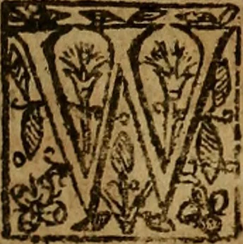 An illustration from Two treatises : first the practicall catechisme, wherein those principall truthes, which most directly, tend to life and godlinesse, are handled ; secondly, a treatise of the two sacraments .., 1640, leaf 232