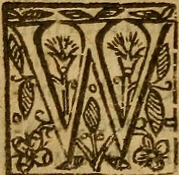 An illustration from Two treatises : first the practicall catechisme, wherein those principall truthes, which most directly, tend to life and godlinesse, are handled ; secondly, a treatise of the two sacraments .., 1640, leaf 263