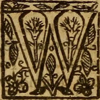 An illustration from Two treatises : first the practicall catechisme, wherein those principall truthes, which most directly, tend to life and godlinesse, are handled ; secondly, a treatise of the two sacraments .., 1640, leaf 367
