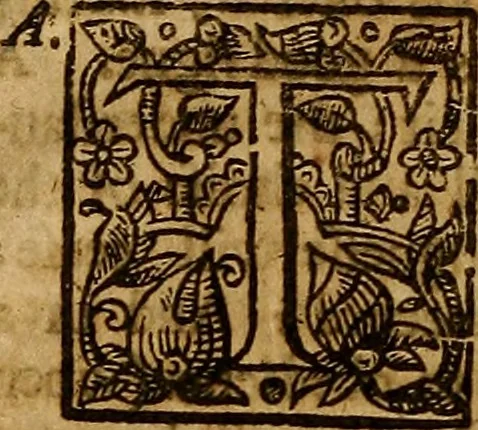 An illustration from Two treatises : first the practicall catechisme, wherein those principall truthes, which most directly, tend to life and godlinesse, are handled ; secondly, a treatise of the two sacraments .., 1640, leaf 439