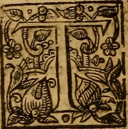 An illustration from Two treatises : first the practicall catechisme, wherein those principall truthes, which most directly, tend to life and godlinesse, are handled ; secondly, a treatise of the two sacraments .., 1640, leaf 491