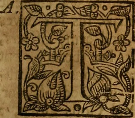 An illustration from Two treatises : first the practicall catechisme, wherein those principall truthes, which most directly, tend to life and godlinesse, are handled ; secondly, a treatise of the two sacraments .., 1640, leaf 548
