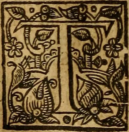 An illustration from Two treatises : first the practicall catechisme, wherein those principall truthes, which most directly, tend to life and godlinesse, are handled ; secondly, a treatise of the two sacraments .., 1640, leaf 593