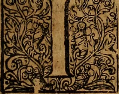 An illustration from Two treatises : first the practicall catechisme, wherein those principall truthes, which most directly, tend to life and godlinesse, are handled ; secondly, a treatise of the two sacraments .., 1640, leaf 74