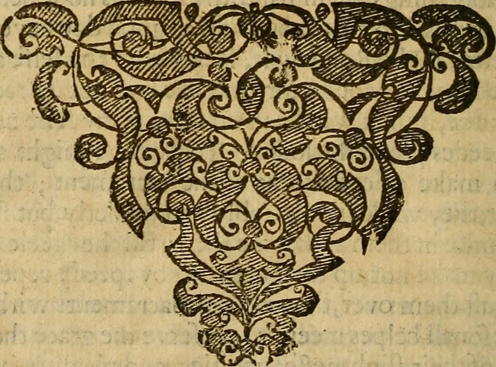 An illustration from Two treatises : first the practicall catechisme, wherein those principall truthes, which most directly, tend to life and godlinesse, are handled ; secondly, a treatise of the two sacraments .., 1640, leaf 981