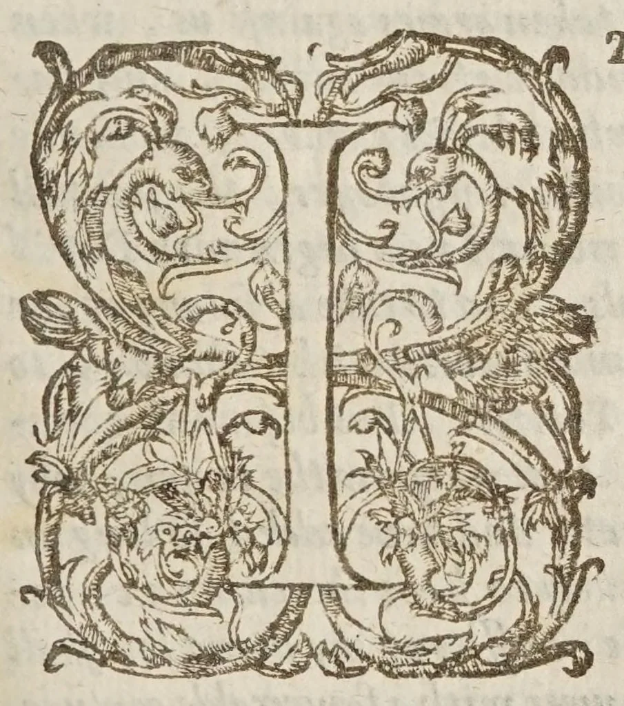 An illustration from Two treatises : in the one of which, the nature of bodies : in the other, the nature of mans soule, is looked into : in way of discovery of the immortality of reasonable soules, 1645, leaf 497