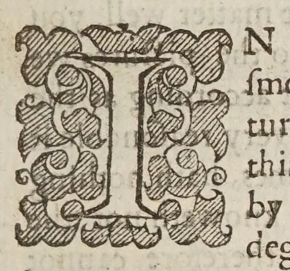 An illustration from Two treatises : in the one of which, the nature of bodies : in the other, the nature of mans soule, is looked into : in way of discovery of the immortality of reasonable soules, 1645, leaf 53