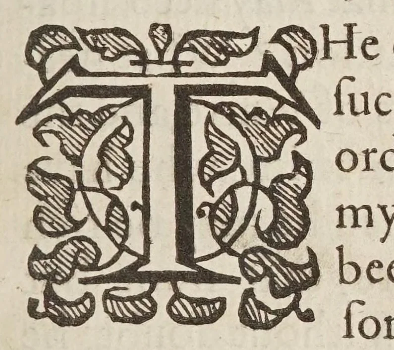 An illustration from Two treatises : in the one of which, the nature of bodies : in the other, the nature of mans soule, is looked into : in way of discovery of the immortality of reasonable soules, 1645, leaf 7