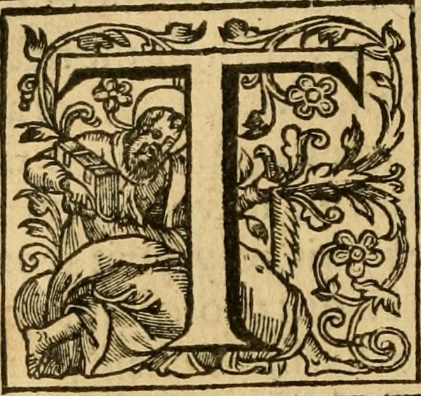 An illustration from Two and twentie sermons of Maister Iohn Calvin : in which sermons is most religiously handled the hundredth and nineteenth Psalme of David, by eight verses aparte according to the Hebrewe alphabet, 1580, leaf 11