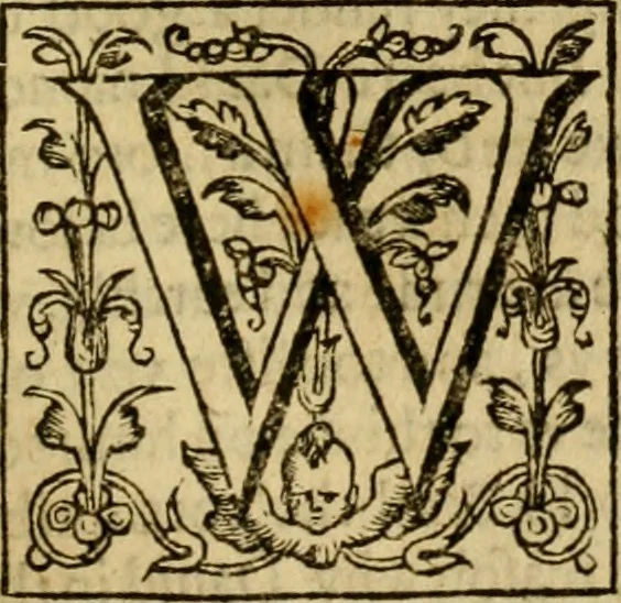 An illustration from Two and twentie sermons of Maister Iohn Calvin : in which sermons is most religiously handled the hundredth and nineteenth Psalme of David, by eight verses aparte according to the Hebrewe alphabet, 1580, leaf 204
