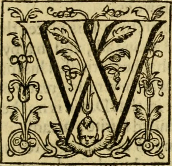 An illustration from Two and twentie sermons of Maister Iohn Calvin : in which sermons is most religiously handled the hundredth and nineteenth Psalme of David, by eight verses aparte according to the Hebrewe alphabet, 1580, leaf 220