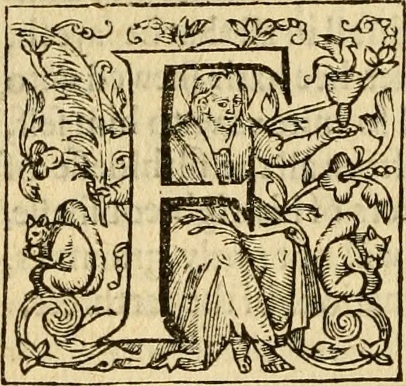 An illustration from Two and twentie sermons of Maister Iohn Calvin : in which sermons is most religiously handled the hundredth and nineteenth Psalme of David, by eight verses aparte according to the Hebrewe alphabet, 1580, leaf 321
