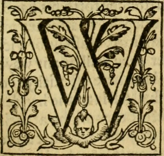 An illustration from Two and twentie sermons of Maister Iohn Calvin : in which sermons is most religiously handled the hundredth and nineteenth Psalme of David, by eight verses aparte according to the Hebrewe alphabet, 1580, leaf 354