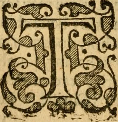 An illustration from Two and twentie sermons of Maister Iohn Calvin : in which sermons is most religiously handled the hundredth and nineteenth Psalme of David, by eight verses aparte according to the Hebrewe alphabet, 1580, leaf 81