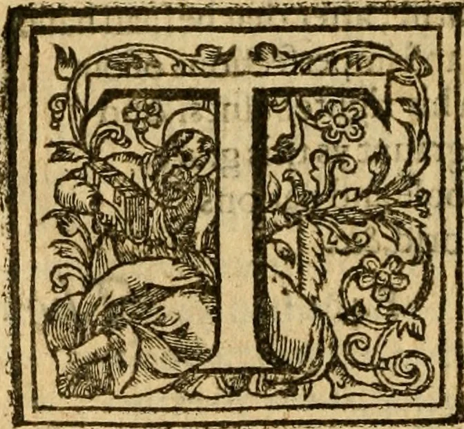 An illustration from Two and twentie sermons of Maister Iohn Calvin : in which sermons is most religiously handled the hundredth and nineteenth Psalme of David, by eight verses aparte according to the Hebrewe alphabet, 1580, leaf 99