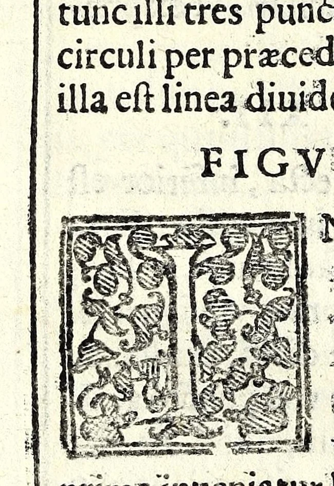 An illustration from Tyberiadis : D. Bartoli de Saxoferrato, ivrisconsultorvm omnivm facilè principis, tractatus de fluminibus tripertitus, 1576, leaf 108