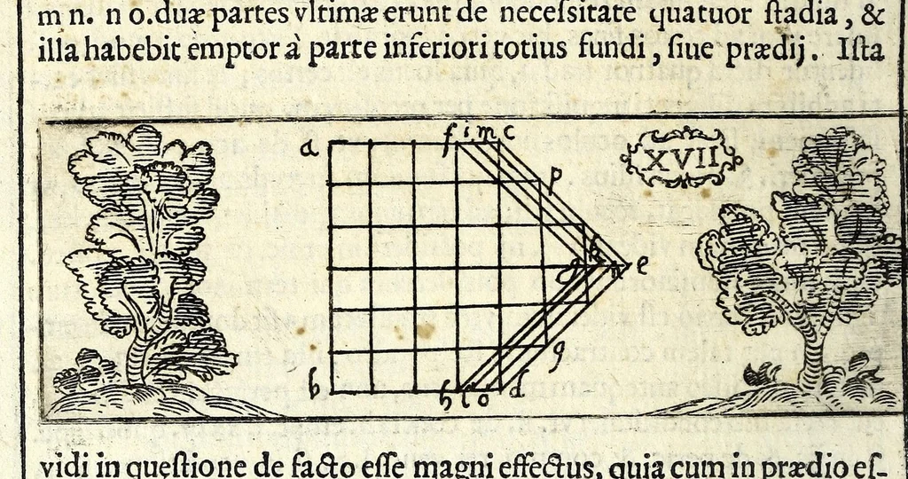 An illustration from Tyberiadis : D. Bartoli de Saxoferrato, ivrisconsultorvm omnivm facilè principis, tractatus de fluminibus tripertitus, 1576, leaf 116