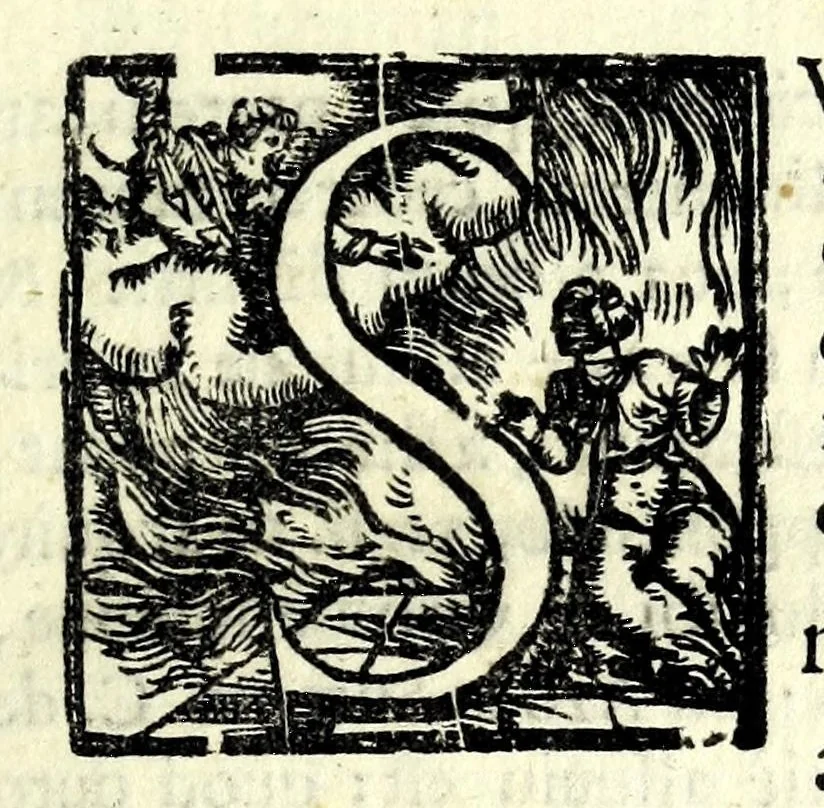 An illustration from Tyberiadis : D. Bartoli de Saxoferrato, ivrisconsultorvm omnivm facilè principis, tractatus de fluminibus tripertitus, 1576, leaf 117