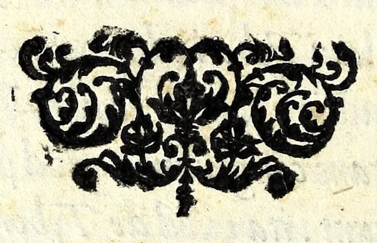 An illustration from Tyberiadis : D. Bartoli de Saxoferrato, ivrisconsultorvm omnivm facilè principis, tractatus de fluminibus tripertitus, 1576, leaf 24