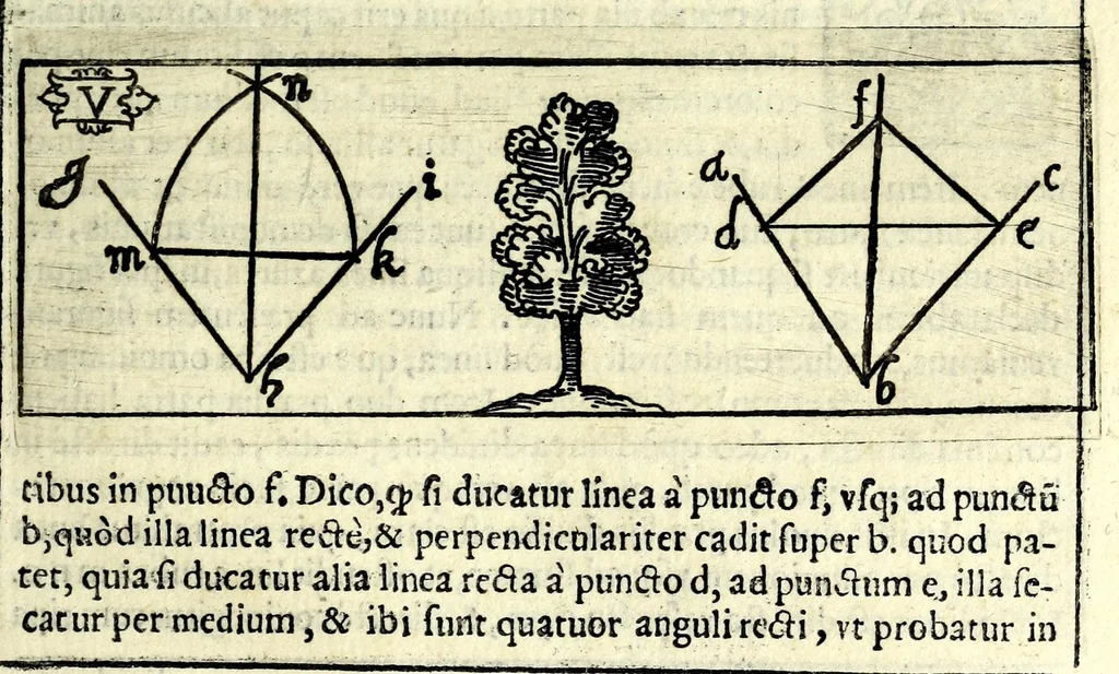 An illustration from Tyberiadis : D. Bartoli de Saxoferrato, ivrisconsultorvm omnivm facilè principis, tractatus de fluminibus tripertitus, 1576, leaf 51